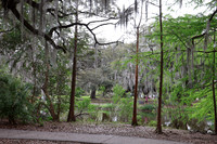 City Park II