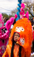 IMG_0019EC