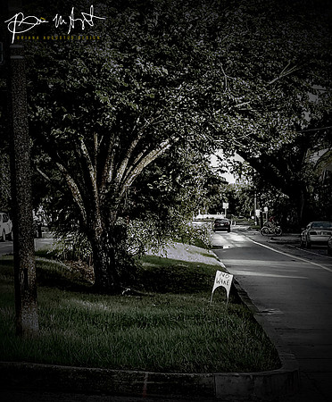 20190826_182931 (1)_WATERMARKED