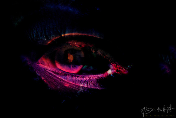 Wonder Eye Land_Eye II_PHEERS_4b_WATERMARKED1