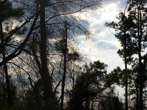 SKY LIGHT